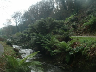 Le vallon du Stangalard, conservatoire botanique de Brest. 789365GEDC0623