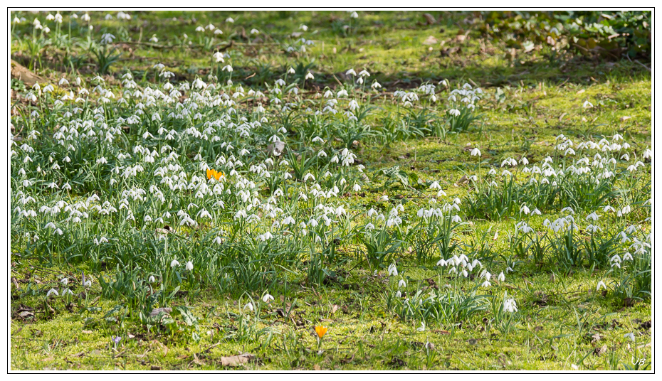 Moulin à tan part 3 Des fleurs 790295LR53P1120628