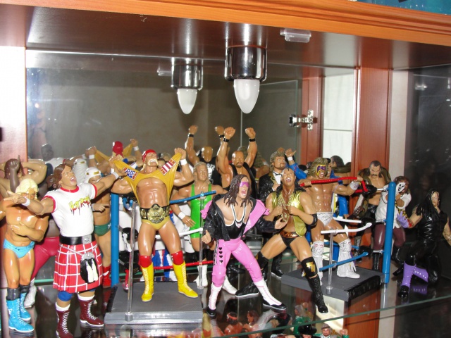 Collection WWF (Hasbro, UF...) - Page 9 791777DSC09232