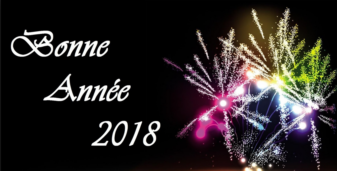 Bonne année 2018 796613anne2018