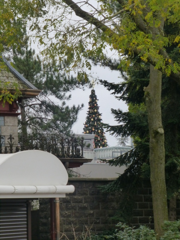 Trip Report d'une journée drôlement effrayante le 8 octobre pour Halloween et TR d'un séjour au Cheyenne les 19 et 20 novembre pour Noël :) - Page 3 797761P1240682