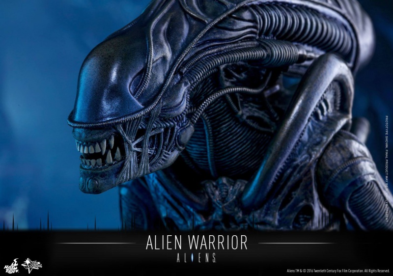 ALIENS - ALIEN WARRIOR 79786012901329101534349359773444363950699265773626o