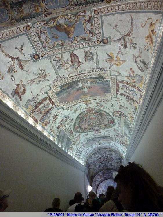 4 - Rome 2014 - Musée du Vatican..divers 798892P1020901AM