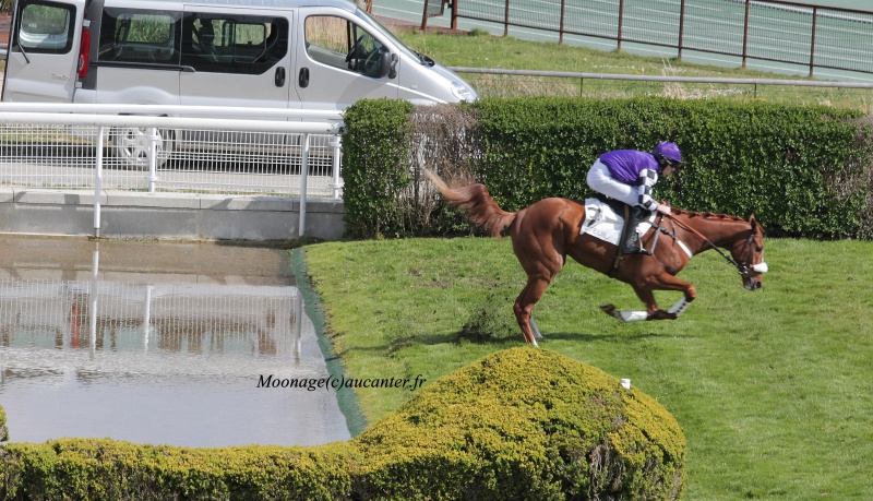 Photos Auteuil 27-04-2016 - Page 2 802435IMG1191