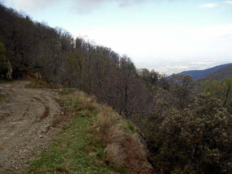 TT dans les Albères (PO) 802751SDC14365