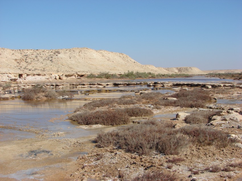 Le Grand Sud du Maroc - II 804668021