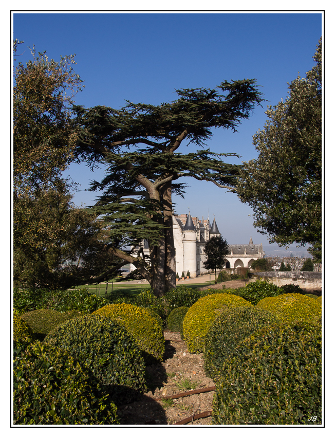Chateau d'Amboise 809611LR53P3120093