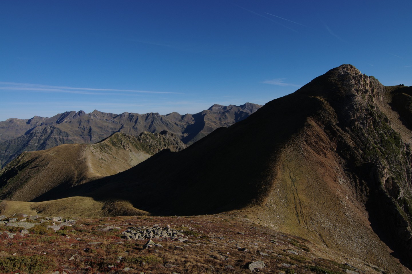 Une vie pyrénéenne de labrit des pyrénées - Page 15 814185cra0454