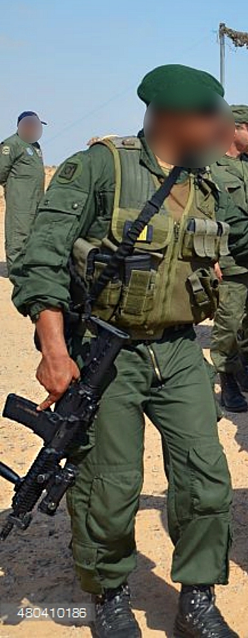 Armée Tunisienne / Tunisian Armed Forces / القوات المسلحة التونسية‎ - Page 32 818915480410186