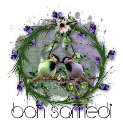 Bonjour-Bonsoir du mois d' Aout 819155bonsamedi250