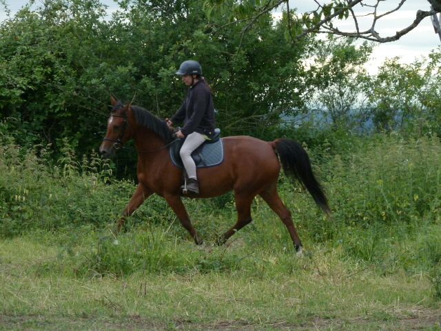 Endurance 11 août à St Bonnet de Tronçais 820477873