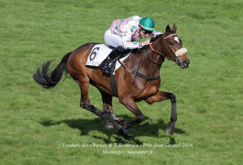 Photos Auteuil 17-04-2016 - Page 2 821019IMG0450