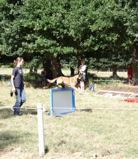 courses de poneys en bretagne 821446DSC00750