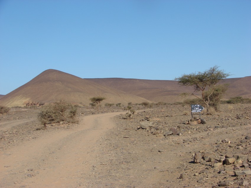 Le Grand Sud du Maroc - II 822411082