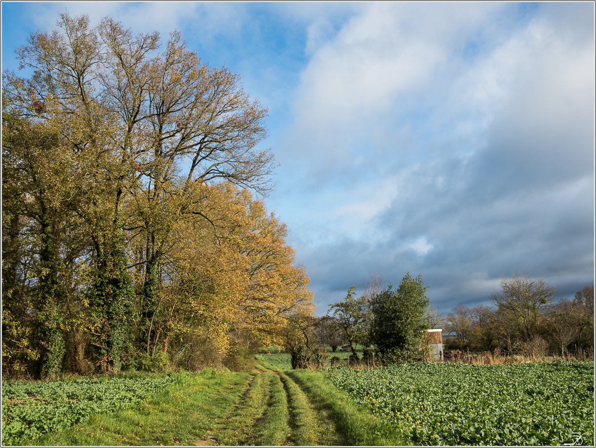 POTD non Lumix du 21/11/2015 824020LR6PB210026