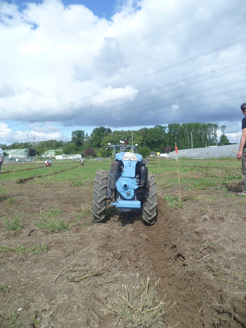 VIARMES 2015 CONCOURS DE LABOUR AUX MOTOCULTEURS - Page 4 824512conc5