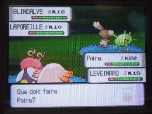 [ShinysHunters' Teams Cup n°7] Rapports et Classements  826270Blindalys