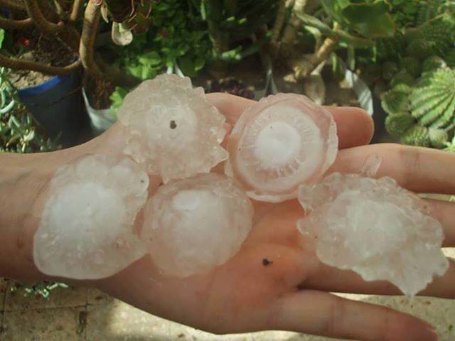 Orage de grêles avant hier à Ain M'lila  829419123472710201945808274831853447990n