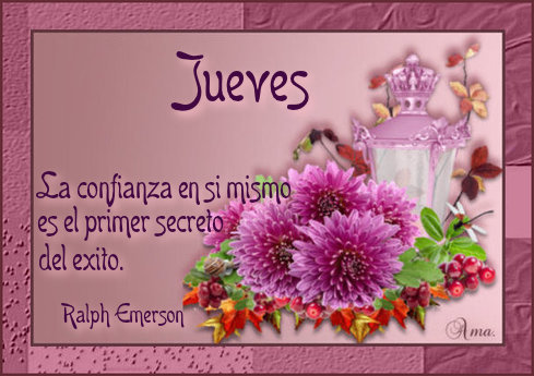 Flores con Frase 831513jueves