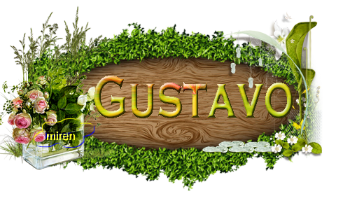 Nombres con la G 8388241Gustavo