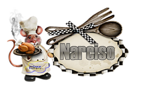 Nombres con N 8395242Narciso