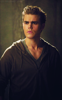 Paul Wesley - 200*320 841090paul9