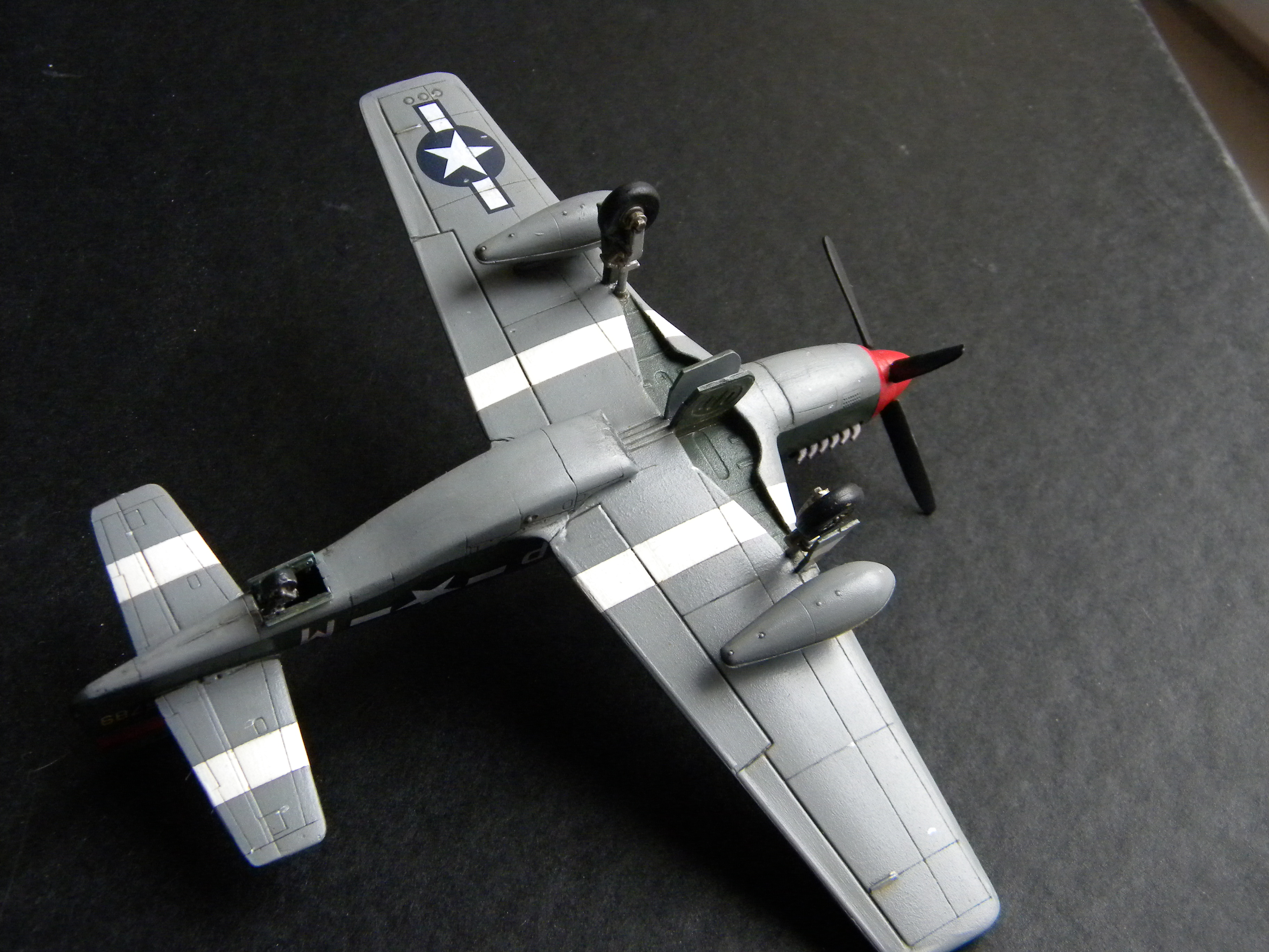 [Mister Craft] P-51B-5 'Termite' 842643DSCN7795