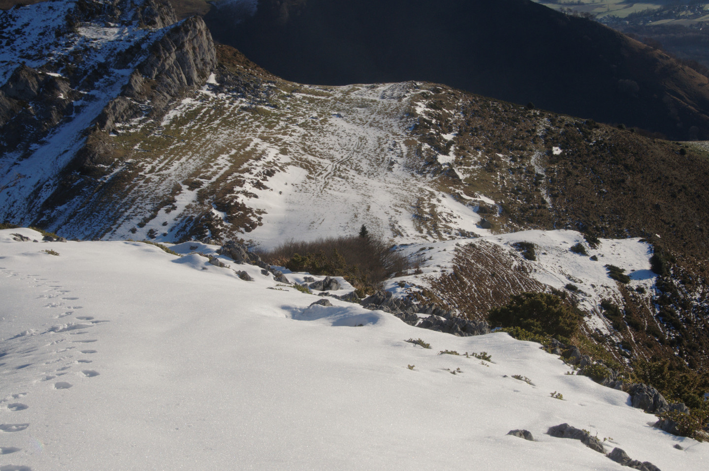 Une vie pyrénéenne de labrit des pyrénées - Page 17 844702and0137