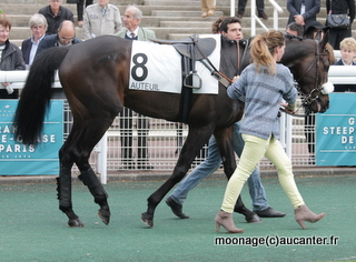 Prix Lutteur III 2016 ( St., L., Auteuil) 27-03 : Kelthomas 844833Square