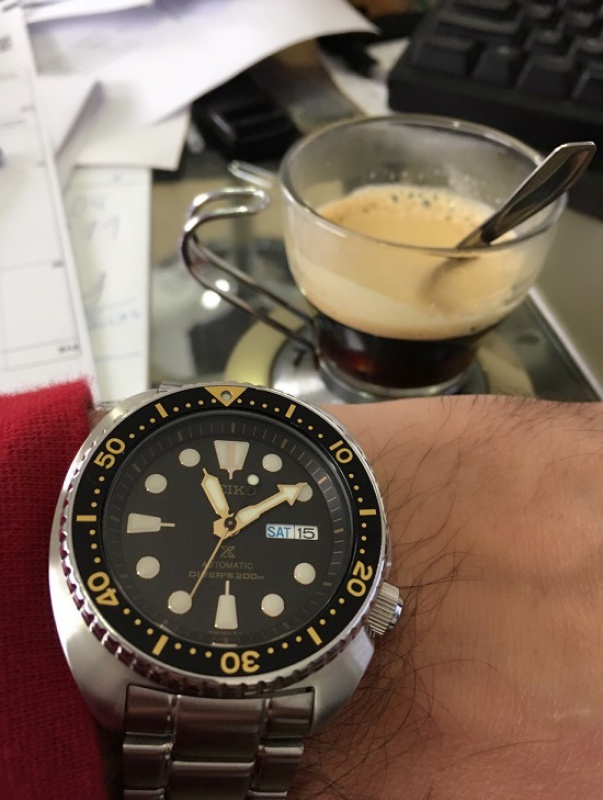 La montre du vendredi, le TGIF watch! - Page 29 846328turtle