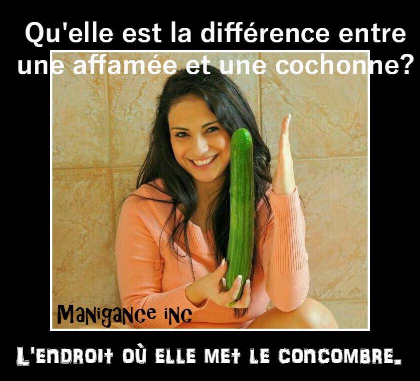 HUMOUR - blagues - Page 6 847375Concombre