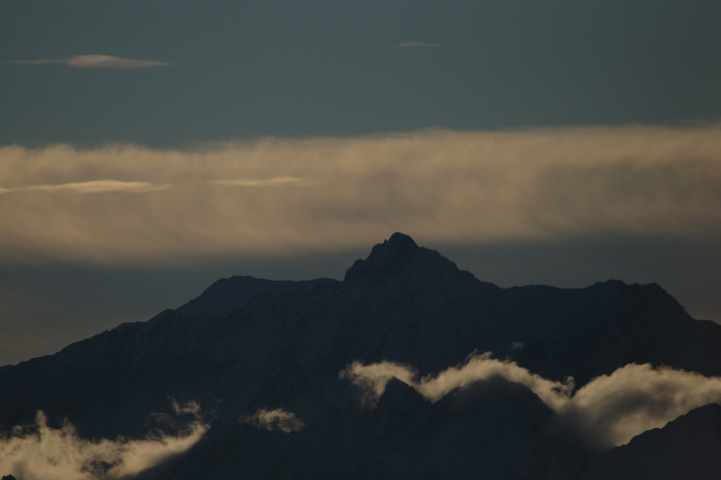 Une vie pyrénéenne de labrit des pyrénées - Page 16 853561gra0725