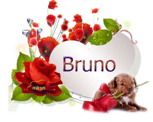 Nombres con B 855715Bruno