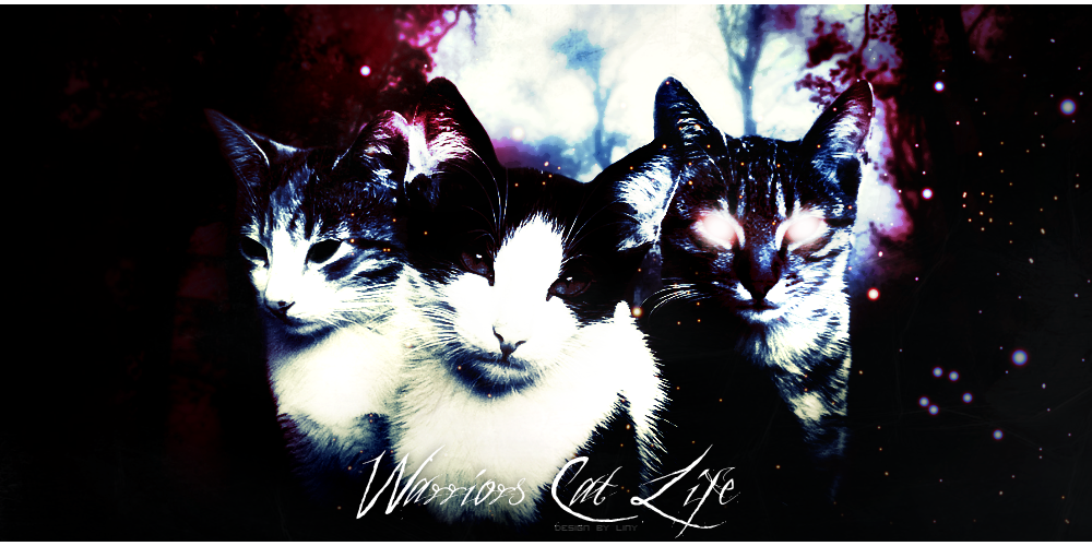 Warriors Cats Life ─ RPG.