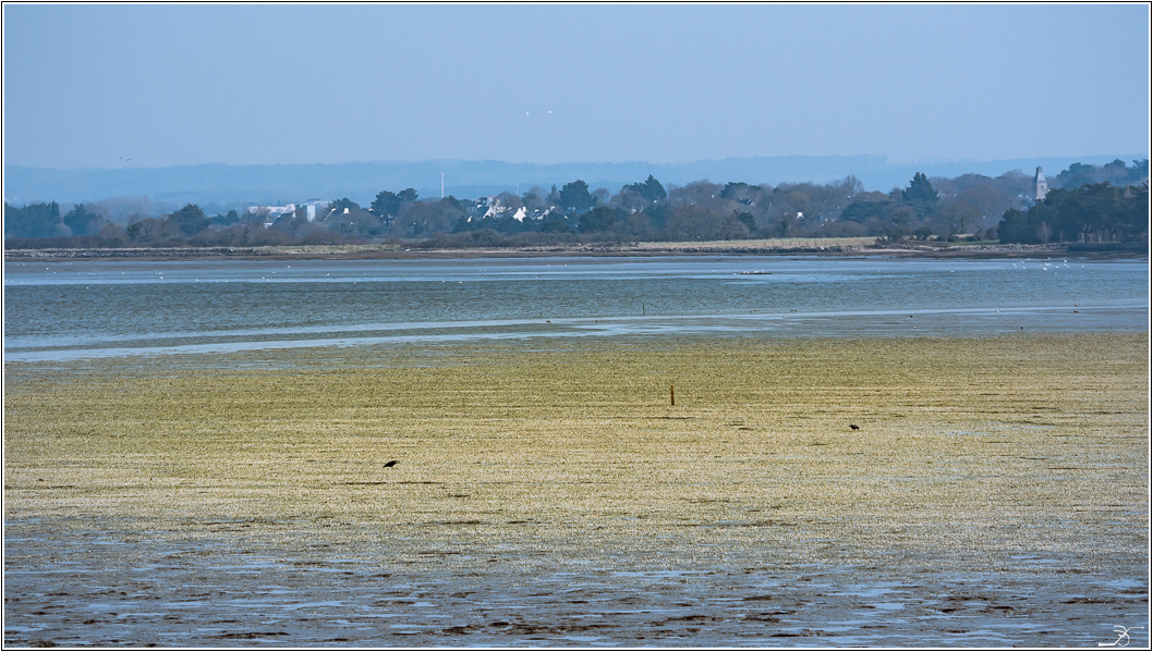 Morbihan, Le Hezo et le Passage 856582LR6P1450030