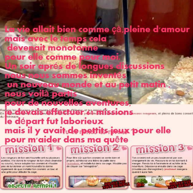 Le Cromimi-Nut n°43 864122bloggif5a1437bed5866