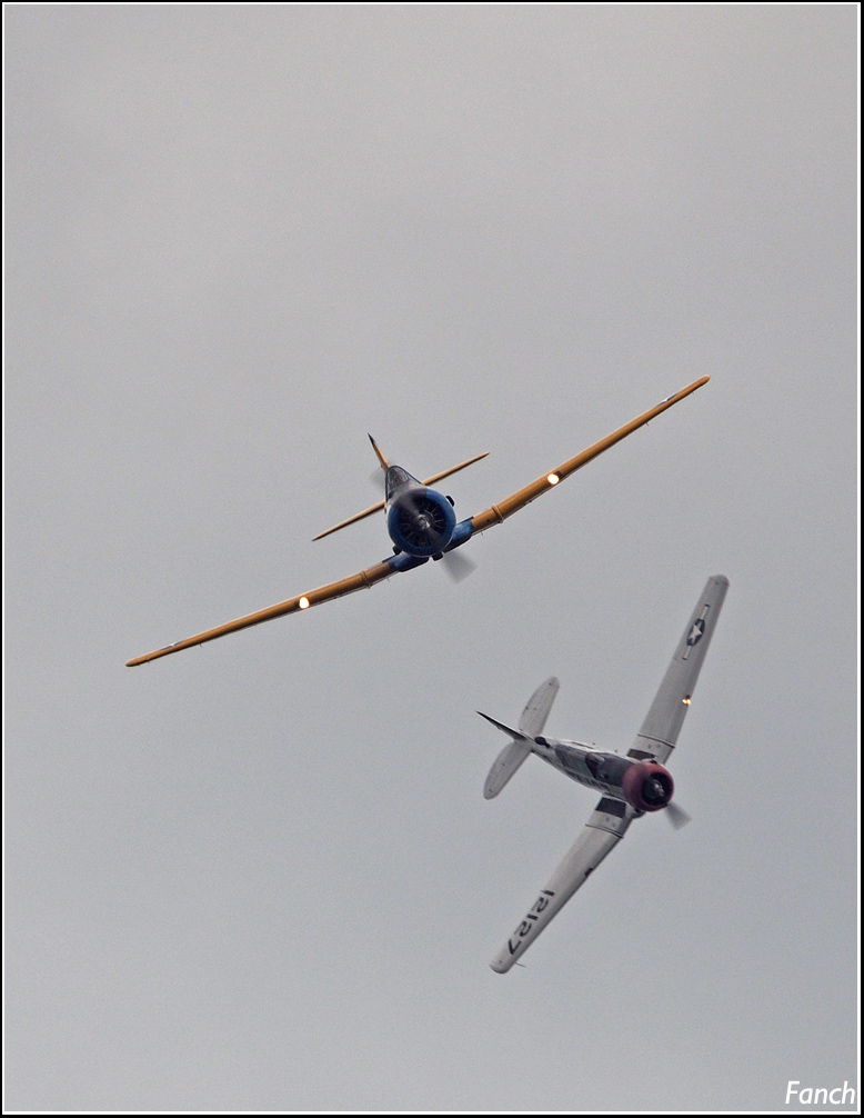 Meeting aérien la Ferté Alais 2016 86503081t6