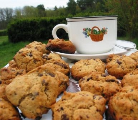 DOUX PRINTEMPS! - Page 7 865045cookiespourdiabetiques