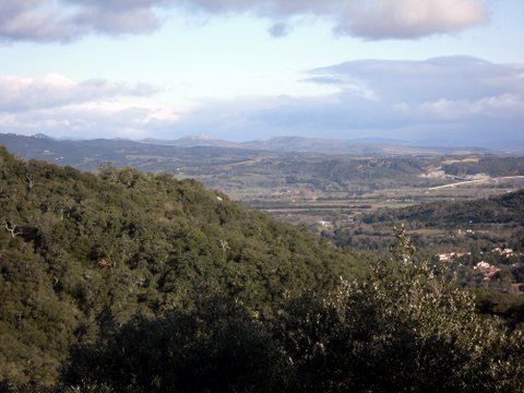 Promenade dans les Albères 866527SDC16283