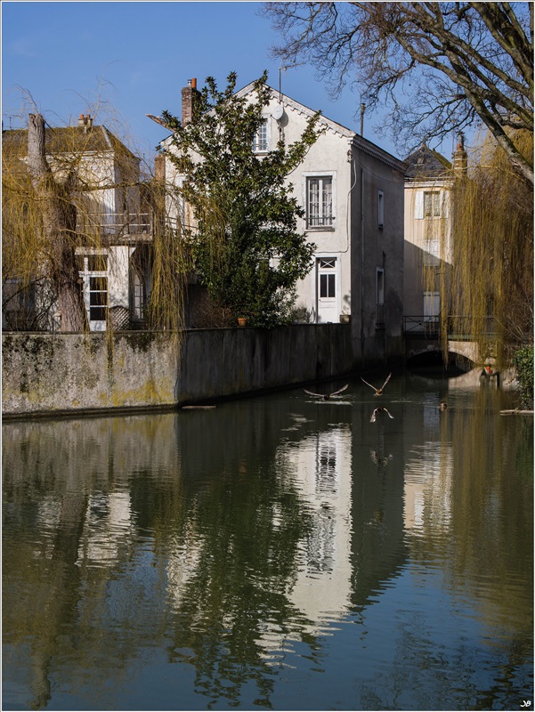 La Venise du Gatinais: les pieds dans l'eau 866880LR4P3040088