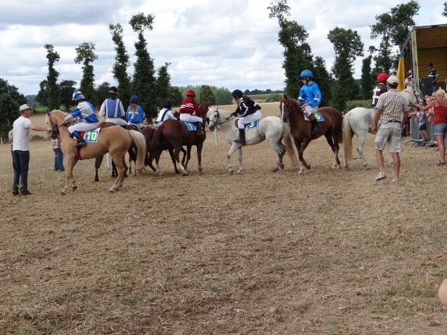 courses de poneys en bretagne 867113DSC00433