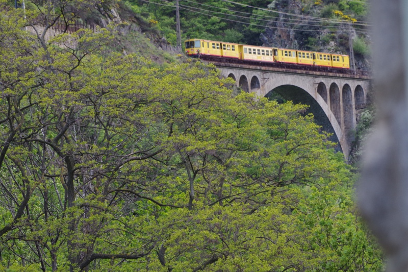 Train Jaune Modélisme Rail Catalan (66) - Page 2 867232IMGP1189