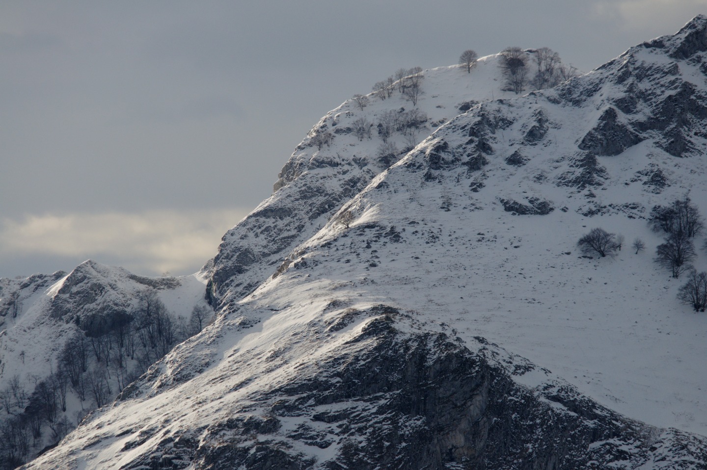 Une vie pyrénéenne de labrit des pyrénées - Page 17 86794205ech13