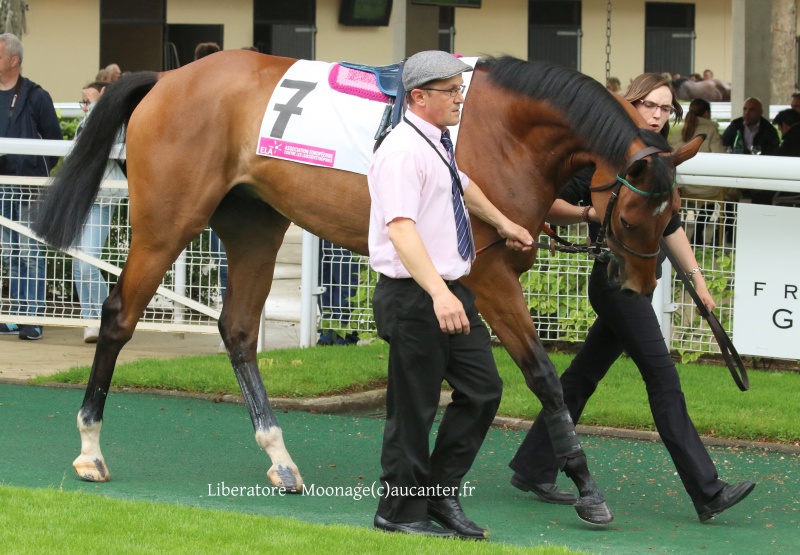 Photos Auteuil 22-05-2016 8686965J6A2548