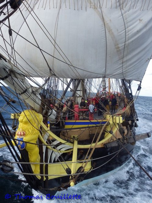 L'Hermione, une aventure. 869369IMGP5284