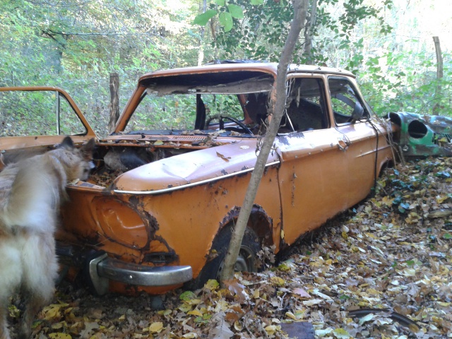 La belle au bois dormant... NSU 1200TT ??? or not ? 87013920141111150755