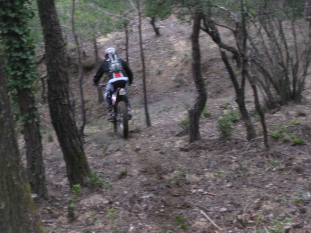 sorti enduro/trial dans le gard le 15 fevrier  - Page 3 870762IMG2060