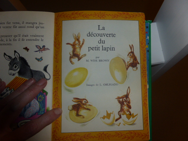 Les lapins dans les livres d'enfants - Page 2 871665P1040679