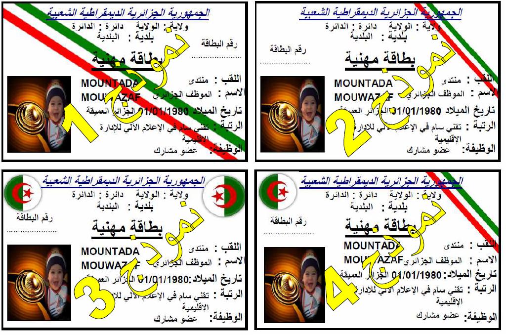 برنامج البطاقة المهنية لموظفي للبلديات - صفحة 3 875201Carte