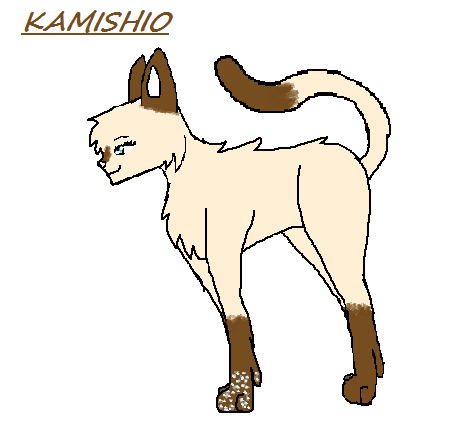 Kamishio - Soldat - Femelle - 6 mois - Frais - En cours 881841Kamishio